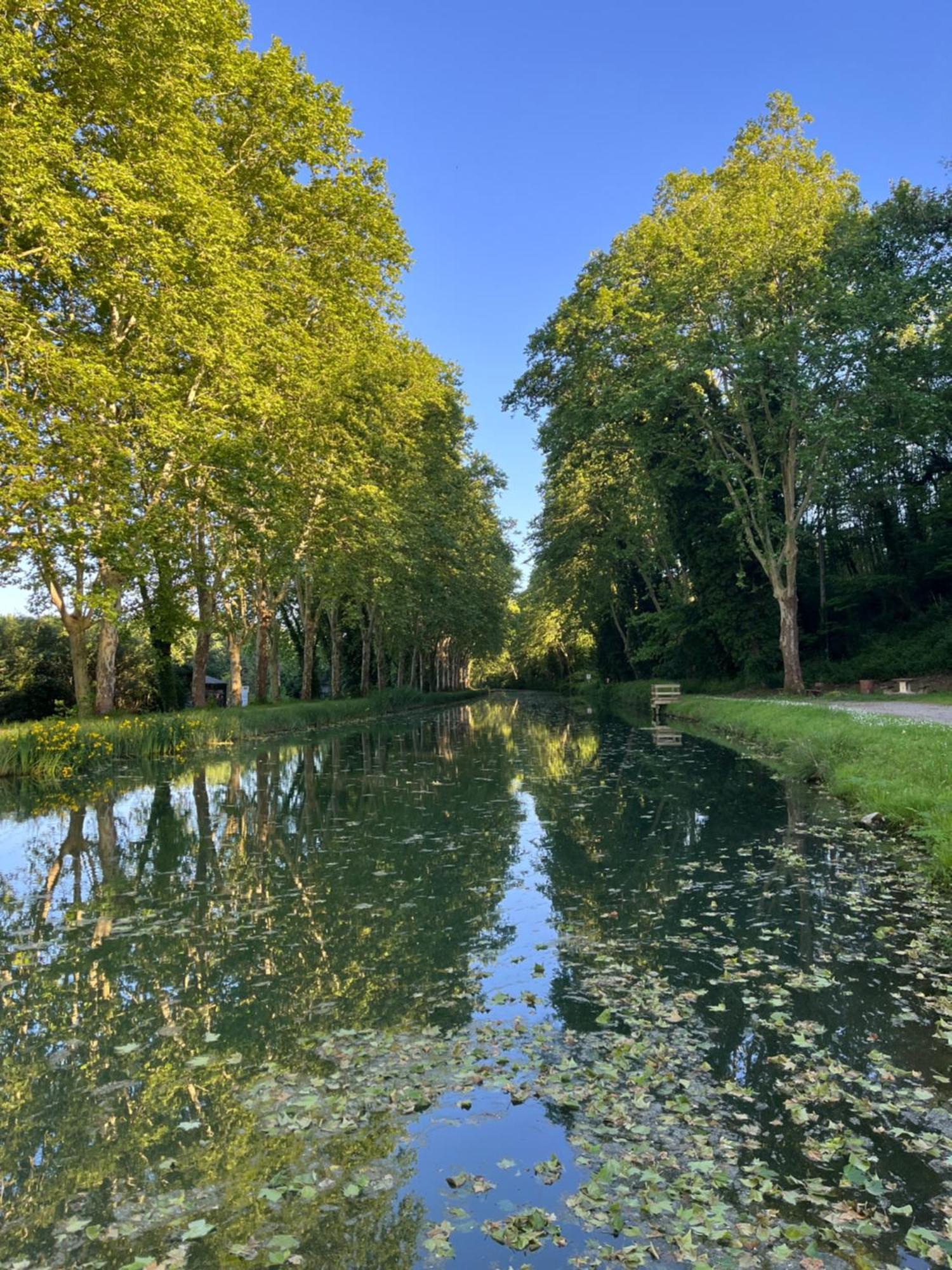 Maison Eclusiere Le Coup De Pompe Meilhan-sur-Garonne Esterno foto