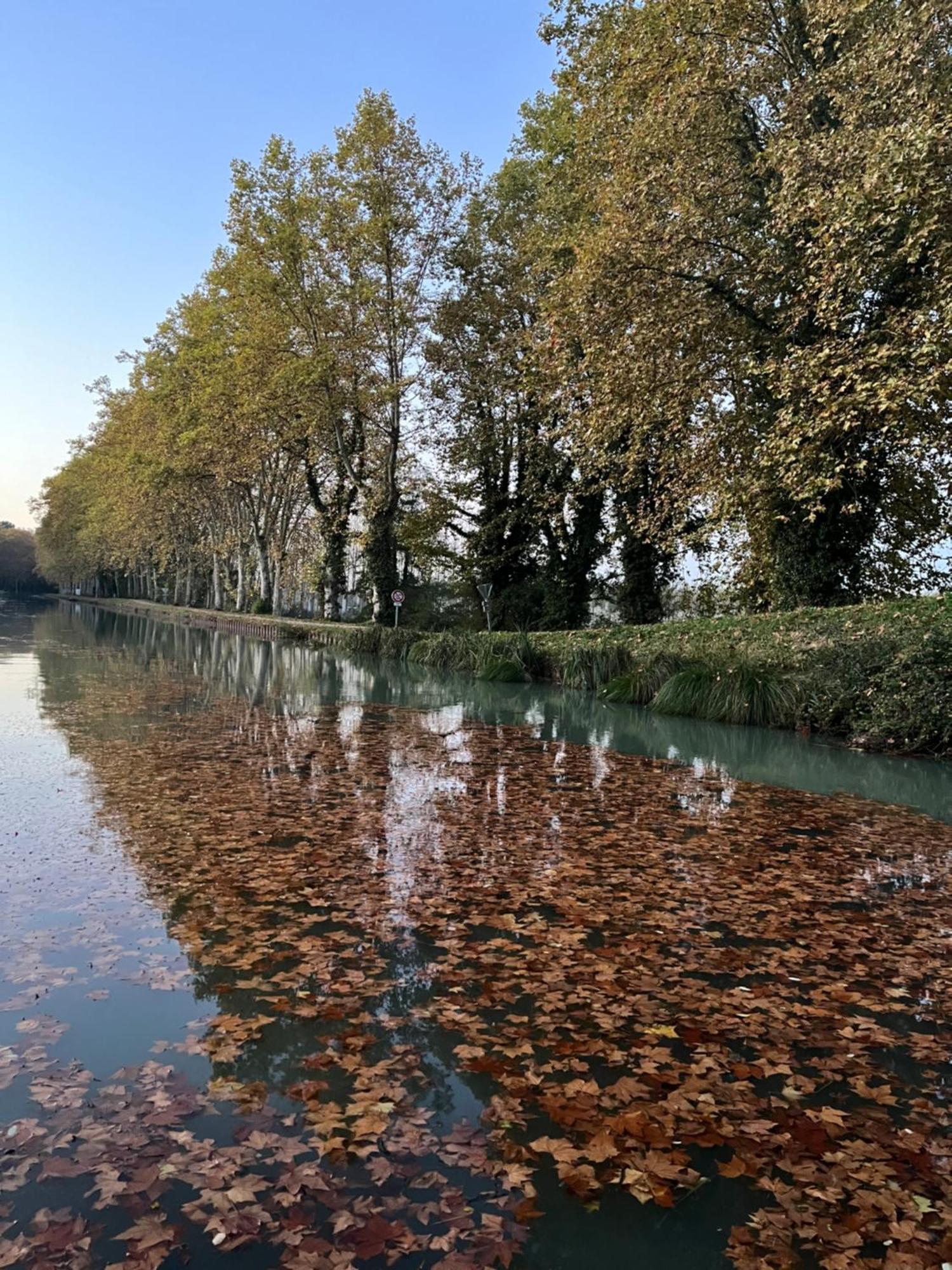 Maison Eclusiere Le Coup De Pompe Meilhan-sur-Garonne Esterno foto